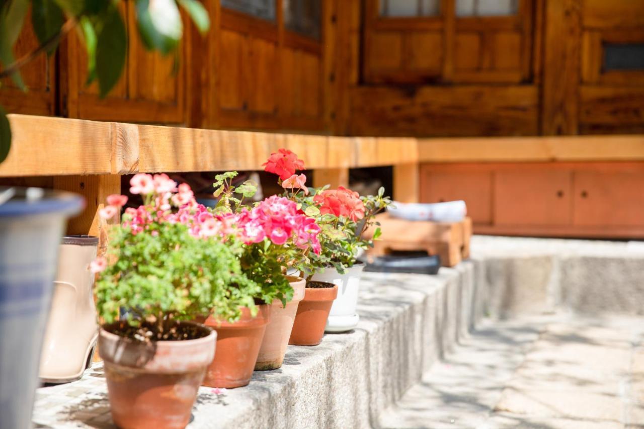 Dongmyo Hanok Sihwadang - Private Korean Style House In The City Center With A Beautiful Garden Soul Exteriér fotografie